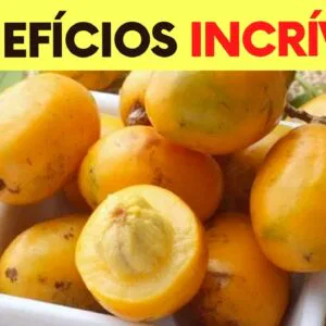 Você Não Imagina que a SERIGUELA Possa Fazer Tudo Isso! (Como Usar e Benefícios)