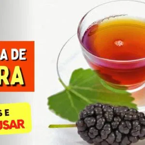 Chá das FOLHAS DE AMORA para Açúcar no Sangue, Saúde da Mulher, Coração,... - Benefícios e Como Usar