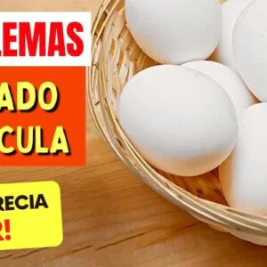 OVOS e PROBLEMAS DE FÍGADO e VESÍCULA - O que você PRECISA SABER!