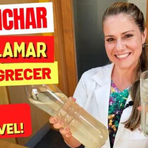 Bebida para DESINCHAR, DESINFLAMAR e EMAGRECER! Delícia Saudável, Fácil e Barata (Tome assim!)