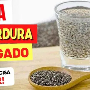 CHIA e GORDURA NO FÍGADO - O que você PRECISA SABER!