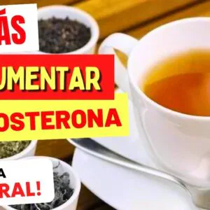 4 CHÁS para AUMENTAR A TESTOSTERONA Naturalmente!