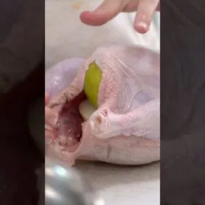 FRANGO SECO NUNCA MAIS!