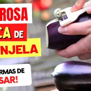 A CASCA DA BERINJELA vai FAZER ISSO COM VOCÊ! Aproveite ASSIM - 10 Formas Incríveis de Usar