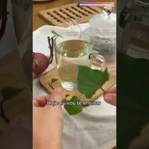 Esta folha é comestível e tem vários benefícios pra você! Descubra os segredos!