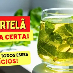 CHÁ DE HORTELÃ - BENEFÍCIOS MARAVILHOSOS para a Saúde - Como Fazer e Tomar