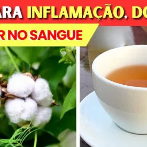 CHÁ da FOLHA DE ALGODÃO para Inflamação, Dores, Açúcar no Sangue, Circulação,... e Como Usar