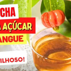 Chá de FOLHA DE PITANGA para Baixar Açúcar no Sangue, Desinchar e Desinflamar - Benefícios e Dicas