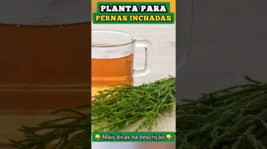 Planta para PERNAS INCHADAS