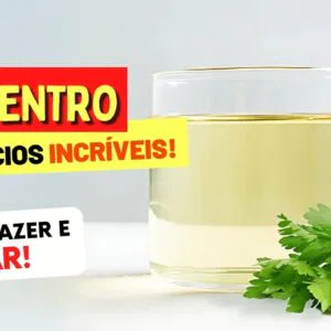 6 Benefícios do CHÁ DE COENTRO, Como Preparar e Como Tomar - Vai AMAR!