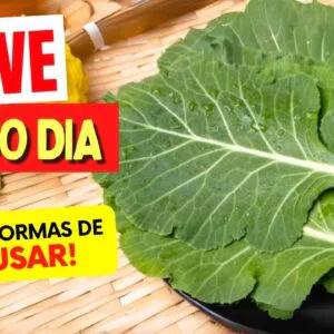 COUVE TODO DIA - 10 FORMAS DE USAR que você VAI AMAR! Benefícios, Dicas e Receitas
