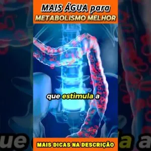 Mais Água para um Metabolismo melhor