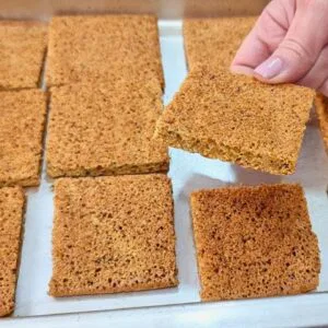 Torrada ZERO CARBOIDRATOS, + Fibras e Proteínas (Emagrecer, Baixar Glicose e + Saúde) - Fácil