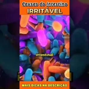Causas da Síndrome do Intestino Irritável