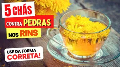 5 Melhores CHÁS contra PEDRA NOS RINS - Benefícios, Como Preparar e Como Tomar