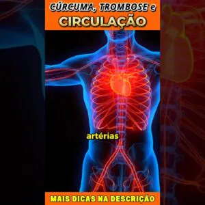 🧡 Cúrcuma Ajuda na Circulação? Veja o Que a Ciência Diz!