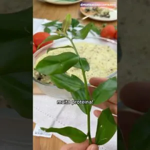 É MELHOR QUE CARNE! Esta planta tem tanta proteína!😱🌱💪