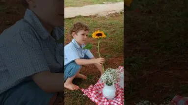 ESCREVI MAIS UM LIVRO! 🐻🎨 Realizei o sonho de transformar a alimentação em história