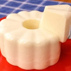 ZERO AÇÚCAR e GORDURA! Pudim de Leite Super FÁCIL e CREMOSO, Sem Forno, Sem Ovo, Rápido e Delicioso