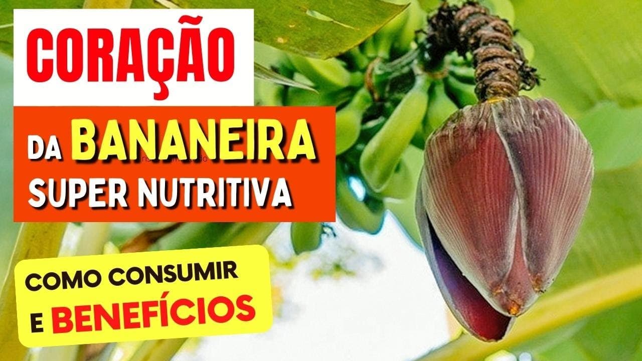 Benefícios Incríveis do CORAÇÃO DA BANANEIRA – Como Usar e Dicas ...