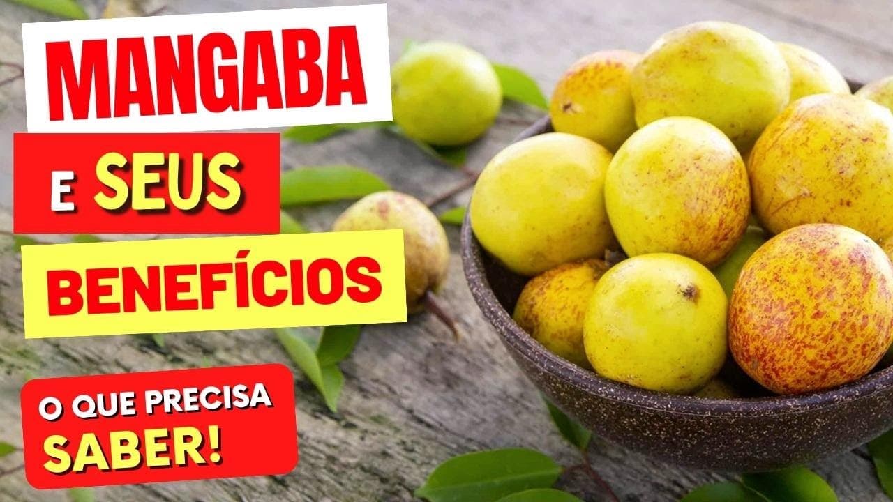 Benefícios da MANGABA que TODOS DEVERIAM CONHECER! Como Usar e Dicas ...